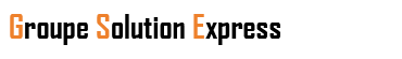 gse logo